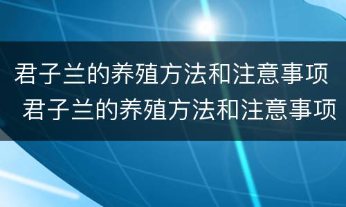 君子兰的养殖方法和注意事项 君子兰的养殖方法和注意事项有哪些