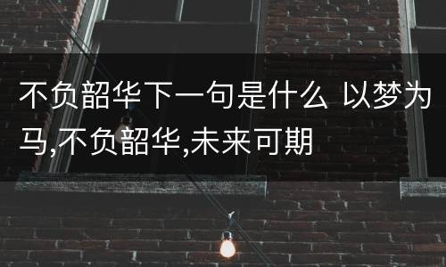 不负韶华下一句是什么 以梦为马,不负韶华,未来可期