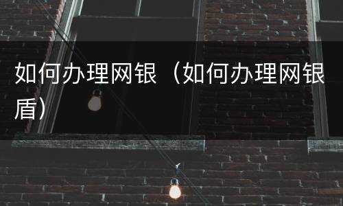 如何办理网银（如何办理网银盾）