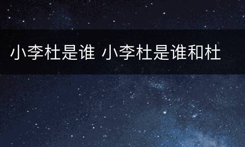 小李杜是谁 小李杜是谁和杜
