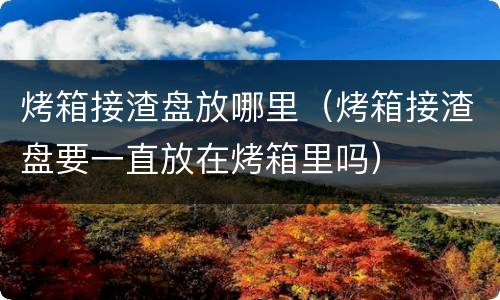 烤箱接渣盘放哪里（烤箱接渣盘要一直放在烤箱里吗）