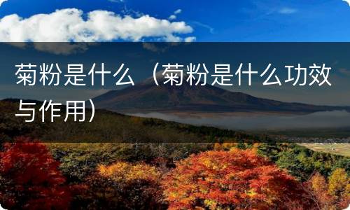 菊粉是什么（菊粉是什么功效与作用）