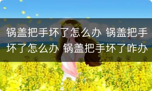 锅盖把手坏了怎么办 锅盖把手坏了怎么办 锅盖把手坏了咋办