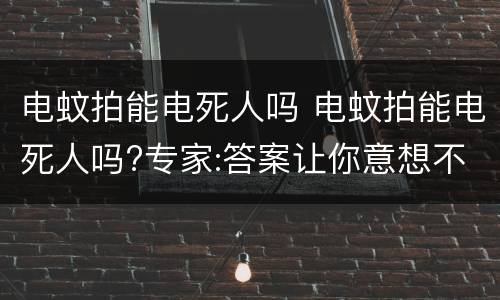电蚊拍能电死人吗 电蚊拍能电死人吗?专家:答案让你意想不到