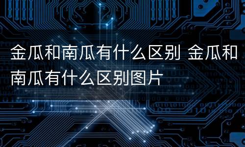 金瓜和南瓜有什么区别 金瓜和南瓜有什么区别图片