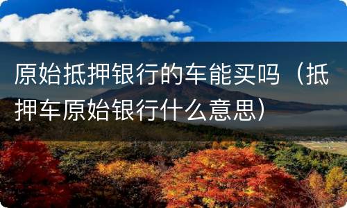原始抵押银行的车能买吗（抵押车原始银行什么意思）