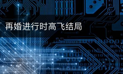 再婚进行时高飞结局