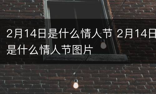 2月14日是什么情人节 2月14日是什么情人节图片