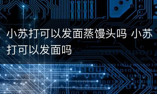 小苏打可以发面蒸馒头吗 小苏打可以发面吗