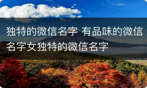 独特的微信名字 有品味的微信名字女独特的微信名字