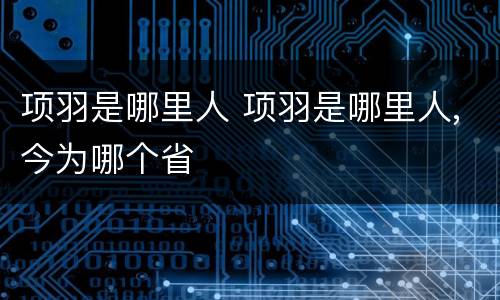 项羽是哪里人 项羽是哪里人,今为哪个省