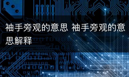 袖手旁观的意思 袖手旁观的意思解释