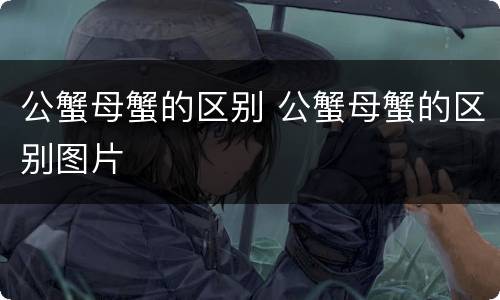 公蟹母蟹的区别 公蟹母蟹的区别图片