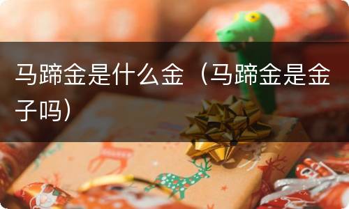 马蹄金是什么金（马蹄金是金子吗）