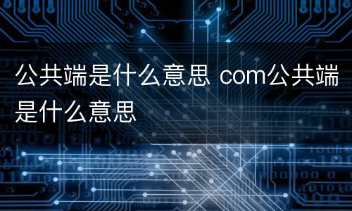 公共端是什么意思 com公共端是什么意思