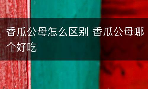 香瓜公母怎么区别 香瓜公母哪个好吃