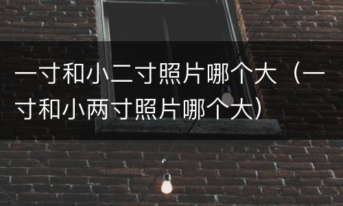 一寸和小二寸照片哪个大（一寸和小两寸照片哪个大）