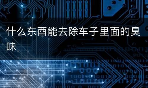 什么东酉能去除车子里面的臭味