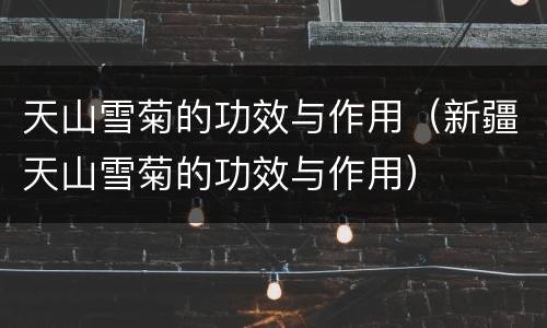 天山雪菊的功效与作用（新疆天山雪菊的功效与作用）