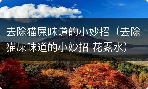 去除猫屎味道的小妙招（去除猫屎味道的小妙招 花露水）
