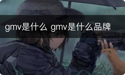 gmv是什么 gmv是什么品牌