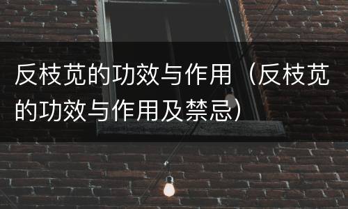 反枝苋的功效与作用（反枝苋的功效与作用及禁忌）