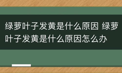 绿萝叶子发黄是什么原因 绿萝叶子发黄是什么原因怎么办