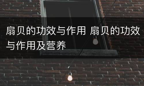 扇贝的功效与作用 扇贝的功效与作用及营养
