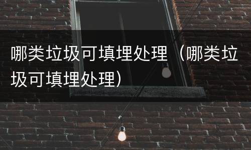 哪类垃圾可填埋处理（哪类垃圾可填埋处理）