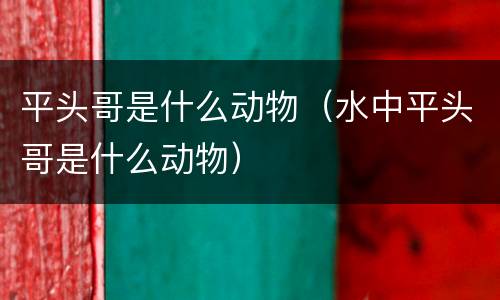平头哥是什么动物（水中平头哥是什么动物）