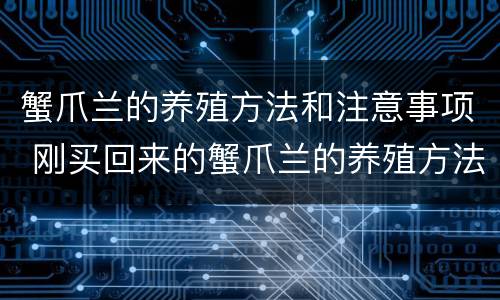 蟹爪兰的养殖方法和注意事项 刚买回来的蟹爪兰的养殖方法和注意事项