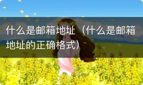 什么是邮箱地址（什么是邮箱地址的正确格式）