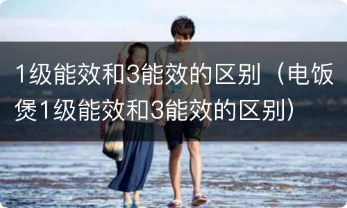 1级能效和3能效的区别（电饭煲1级能效和3能效的区别）