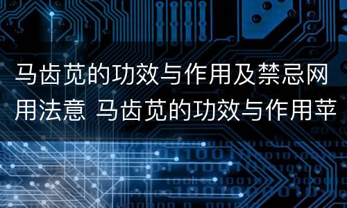 马齿苋的功效与作用及禁忌网用法意 马齿苋的功效与作用苹果绿