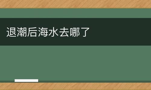 退潮后海水去哪了