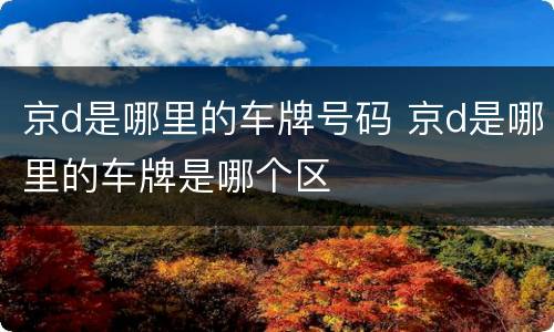 京d是哪里的车牌号码 京d是哪里的车牌是哪个区