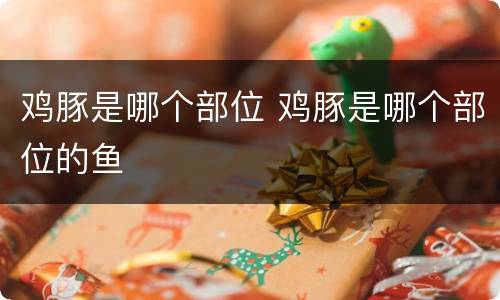 鸡豚是哪个部位 鸡豚是哪个部位的鱼