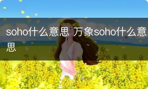 soho什么意思 万象soho什么意思