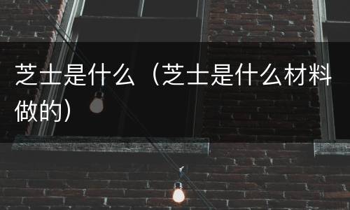 芝士是什么（芝士是什么材料做的）