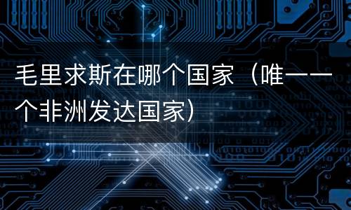 毛里求斯在哪个国家（唯一一个非洲发达国家）