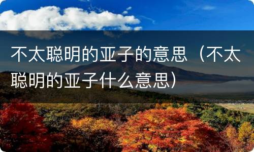 不太聪明的亚子的意思（不太聪明的亚子什么意思）