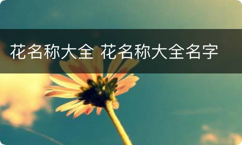 花名称大全 花名称大全名字