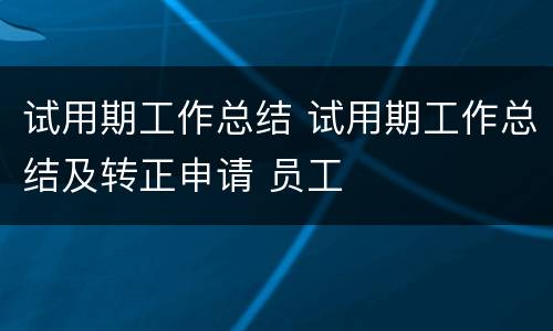 试用期工作总结 试用期工作总结及转正申请 员工