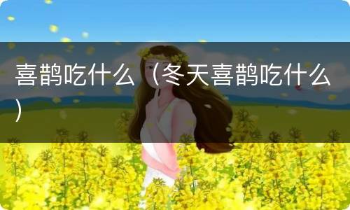 喜鹊吃什么（冬天喜鹊吃什么）