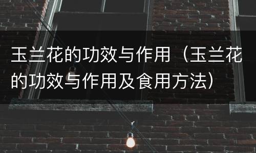 玉兰花的功效与作用（玉兰花的功效与作用及食用方法）