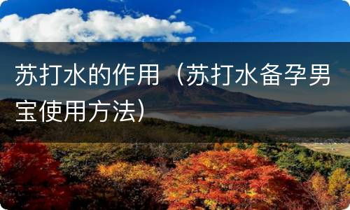 苏打水的作用（苏打水备孕男宝使用方法）