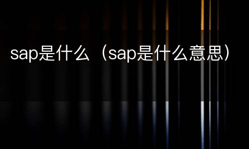 sap是什么（sap是什么意思）