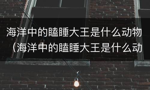 海洋中的瞌睡大王是什么动物（海洋中的瞌睡大王是什么动物? 新闻）