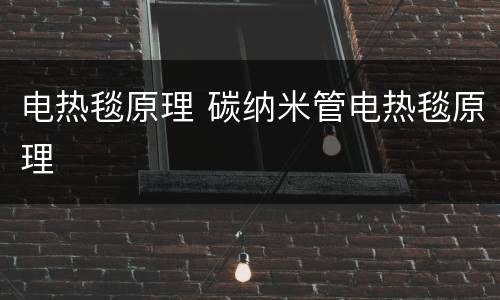 电热毯原理 碳纳米管电热毯原理