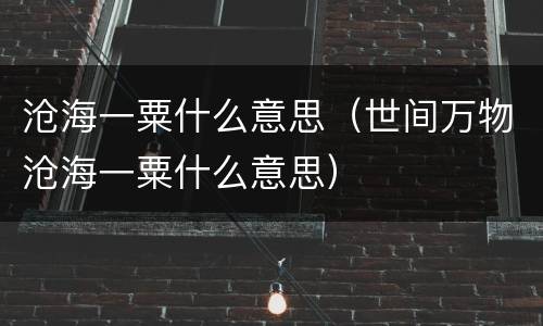 沧海一粟什么意思（世间万物沧海一粟什么意思）